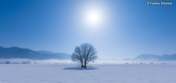 1・2月　千曲川河川敷の雪景色（長野県）