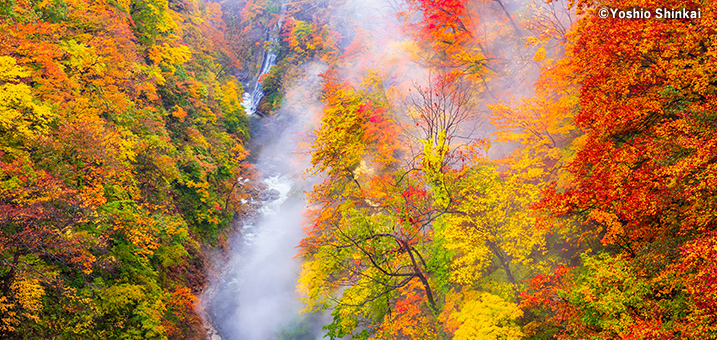 9・10月　秋の小安峡（秋田県）