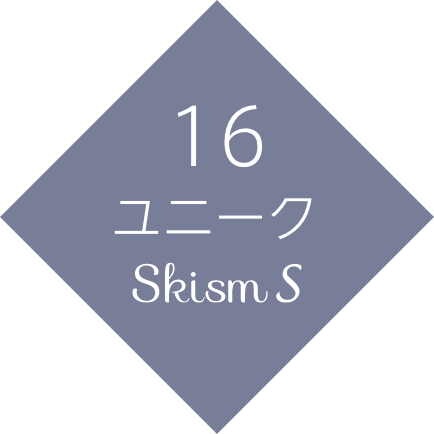 16 ユニーク　Skism S
